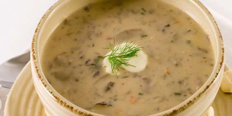 Суп-пюре из вешенок - рецепт приготовления с фото от Maggi.ru