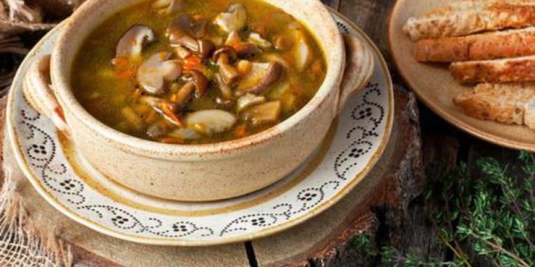 Холодный суп из лесных грибов - рецепт приготовления с фото от Maggi.ru