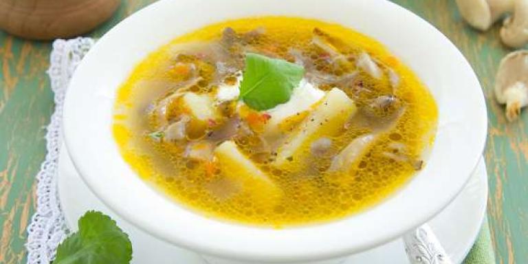 Суп с вешенками и картофелем - рецепт приготовления с фото от Maggi.ru