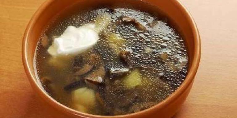 Суп из свежих грибов с желтком - рецепт приготовления с фото от Maggi.ru