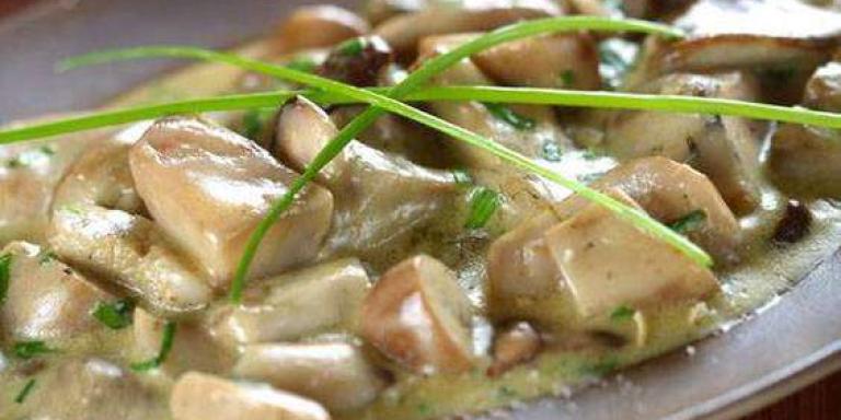 Белые грибы тушенные в сливочном соусе - рецепт приготовления с фото от Maggi.ru