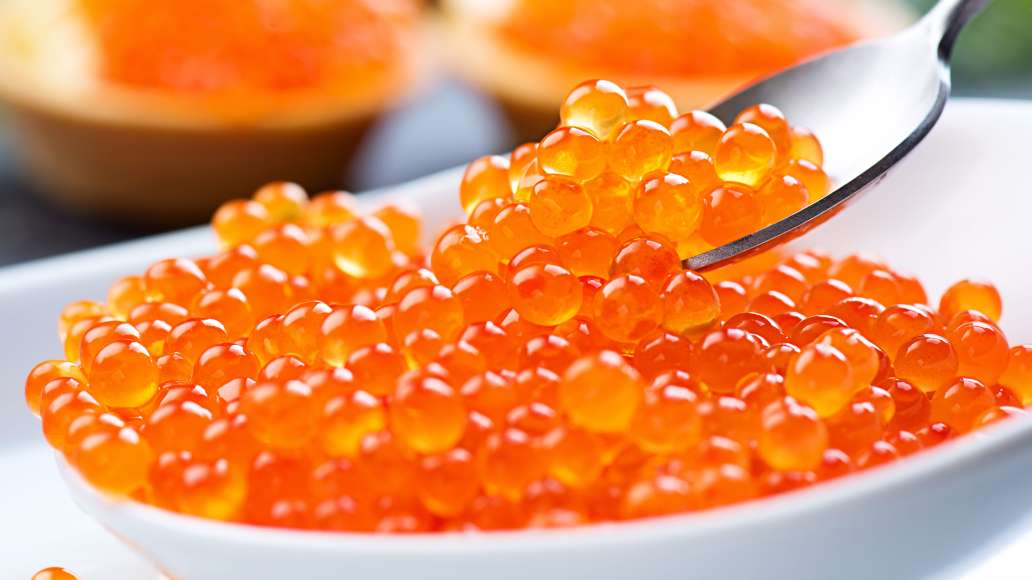 Засолка икры форели Засолка икры форели