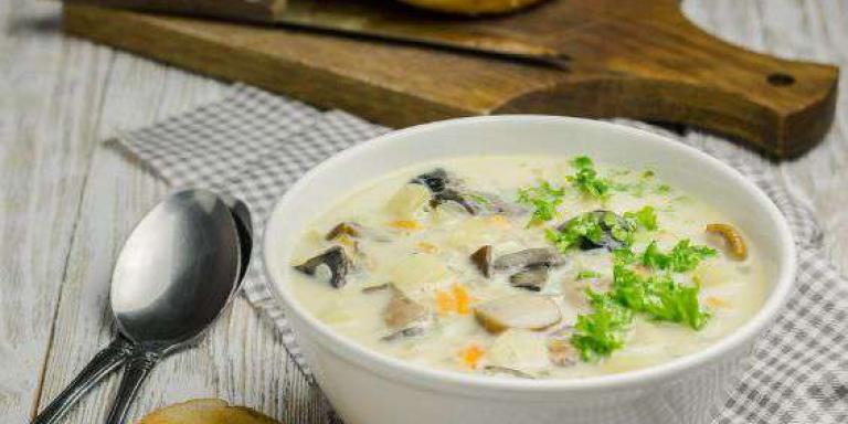 Французский суп из белых грибов - рецепт приготовления с фото от Maggi.ru