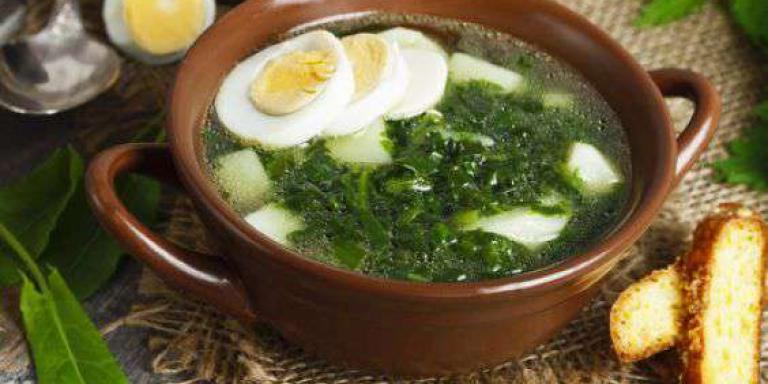 Суп со щавелем и курицей - рецепт приготовления с фото от Maggi.ru
