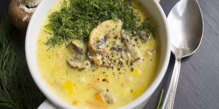 Сырный суп со свежими грибами - рецепт приготовления с фото от Maggi.ru